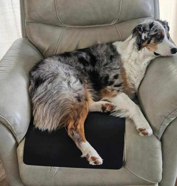 Image of Facebook post